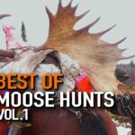 Best Of Moose Hunts Vol.1 | Canada in the Rough (ULTIMATE Moose Hunts)