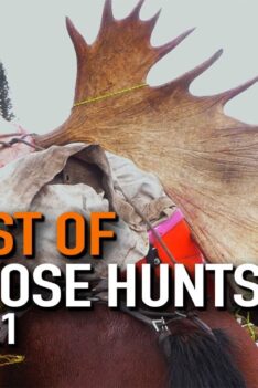 Best Of Moose Hunts Vol.1 | Canada in the Rough (ULTIMATE Moose Hunts)