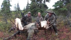 Chasse à l'orignal géante en Alaska