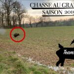 Chasse Sangliers, Cerfs, Chevreuils, Renard / Team RdS SAISON 2019-2020