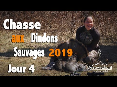 Chasse aux dindons sauvages 2019