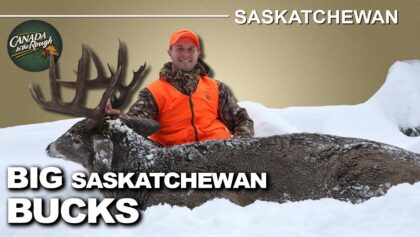 Abondance de cerfs en fin de saison en Saskatchewan | Canada in the Rough