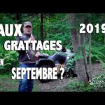 CHASSE AU CERF DE VIRGINIE- Faux Grattages en septembre ??? (Saison 2, 1er épisode 2019)