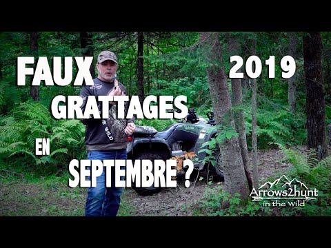 CHASSE AU CERF DE VIRGINIE- Faux Grattages en septembre ??? (Saison 2, 1er épisode 2019)