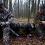 Chasse aux dindons sauvages 2022 Wild turkey hunting Un gars