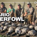 Chasse intense à l'oie et au canard en Ontario | Canada in the Rough