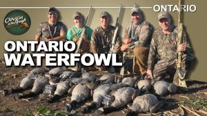 Chasse intense à l'oie et au canard en Ontario | Canada in the Rough