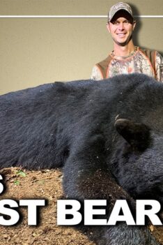 Chasse massive à l'ours noir dans le nord de l'Ontario | Canada in the Rough