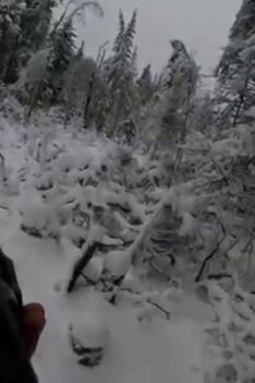 Gopro Chest mount POV small game hunting Un gars dans