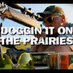La chasse au chien dans les Prairies Canada in the Rough