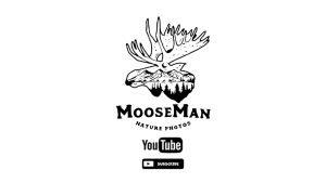 MooseMan
