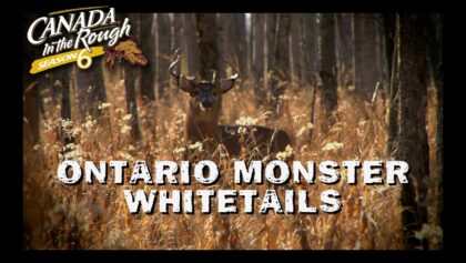 Ontario Monster Whitetails | Web Exclusive (Chasse au cerf adulte)