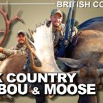 Une incroyable chasse au caribou et à l'orignal en Colombie-Britannique