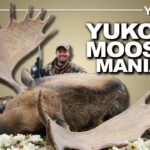 Passion Orignal au Yukon | Le Canada à l'état brut Canada in the Rough