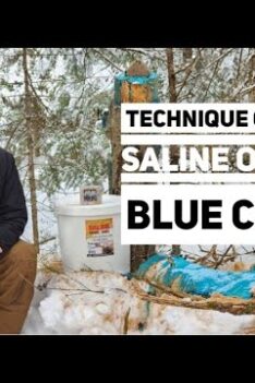 Saline complète d'hiver avec Blue Charm sec - Stephane Monette