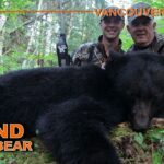Chasse à l'ours noir sur l'île de Vancouver