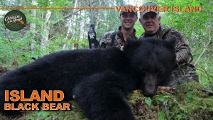 Chasse à l'ours noir sur l'île de Vancouver