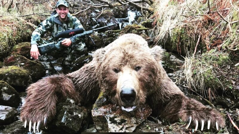 Chasse à l'ours brun en Alaska
