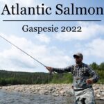 Pêche au saumon 2022 - Gaspésie - (Le Roi des Rivières)