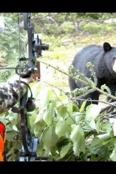 Une chasse à l'ours remplie d'action!