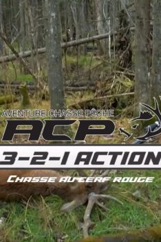 3 2 1 Action | Chasse au cerf rouge 90 sec avec Martin Bourget