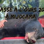 Chasse à l'ours 2020 à Mijocama - Sixième Sens