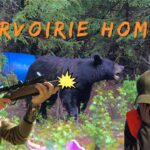 Chasse à l'ours 2021 à la pourvoirie Homamo - Sixième Sens