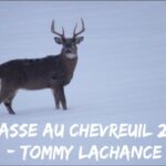 Chasse au chevreuil 2019 - Tommy Lachance