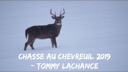 Chasse au chevreuil 2019 - Tommy Lachance