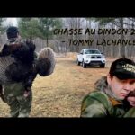 Chasse au dindon 2020 - Tommy Lachance