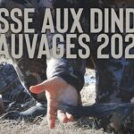 Chasse aux dindons sauvages 2022 - Sixième Sens