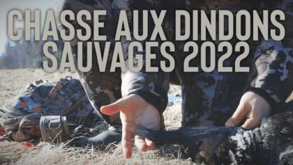 Chasse aux dindons sauvages 2022 - Sixième Sens
