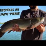 Multiespèces au lac Saint-Pierre - Sixième Sens
