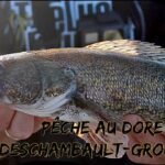 Pêche au doré à Deschambault-Grondines - Sixième Sens