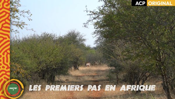 Les premiers pas en Afrique Partie 1 | Aventure Chasse Peche Orignal Chevreuil