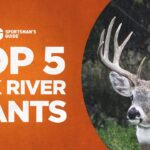 Top 5 des grands cerf Milk River Whitetails Recevez les dernières informations de Sportsman's Guide.