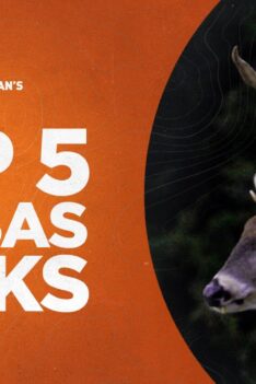 Top 5 des chasses à la queue blanche au Kansas - Moments de Bucks Monstres présentés par Sportsman's Guide