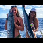 Bikini Fishing | Wahoo | Bermudes | VLOG 3