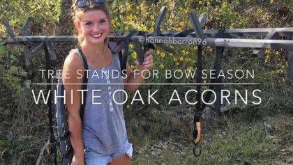Deer Season: Hanging Treestands for Bow Season over white oak acorns and a food plot!