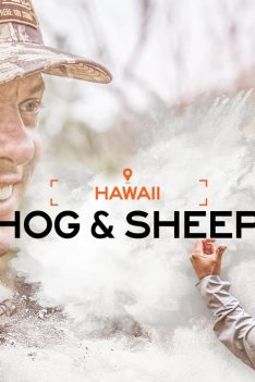 MeatEater | Porcs et moutons d'Hawaï