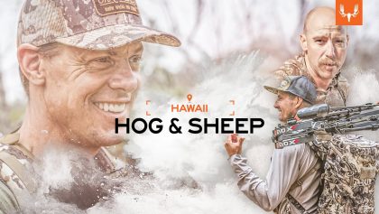 MeatEater | Porcs et moutons d'Hawaï