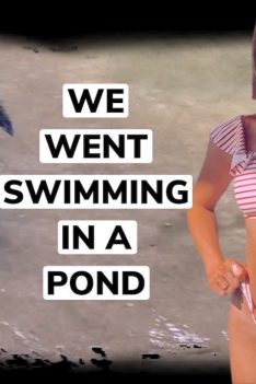 Mon berger australien a appris à nager - ENFIN ! + éviter un ouragan