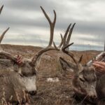 Muzzleloader Nebraska Mule Deer : Deer Meadows Outfitters Chasse dans les Sand Hills