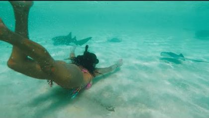 Nager avec des raies pastenagues aux Bahamas | Partie 1