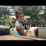 Planter des parcelles alimentaires et répandre des semences ! OOPS