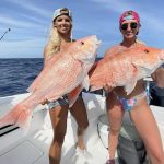 XL Red Snapper Limit -GIRLS GOT THE HOT BITE- Delph Fishing