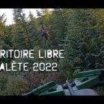 Chasse à l'Orignal - TERRITOIRE LIBRE - Zone 28 - Arbalète - 2022 - Moose hunting - Québec - Canada