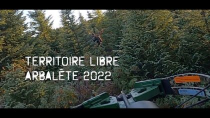Chasse à l'Orignal - TERRITOIRE LIBRE - Zone 28 - Arbalète - 2022 - Moose hunting - Québec - Canada
