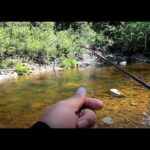 Pêche à la truite | Au Québec coule une rivière | Épisode 9