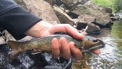 Pêche à la truite | Au Québec coule une rivière | Épisode 8